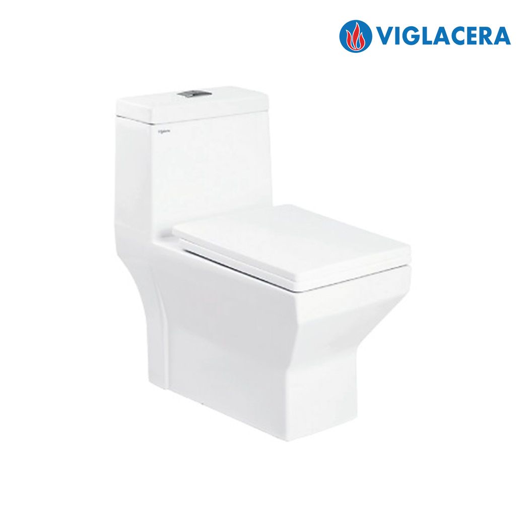 Bồn cầu sứ VIGLACERA V42